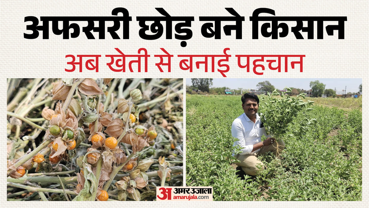 A young farmer quit his hospital job to start cultivating ashwagandha earning millions in profits