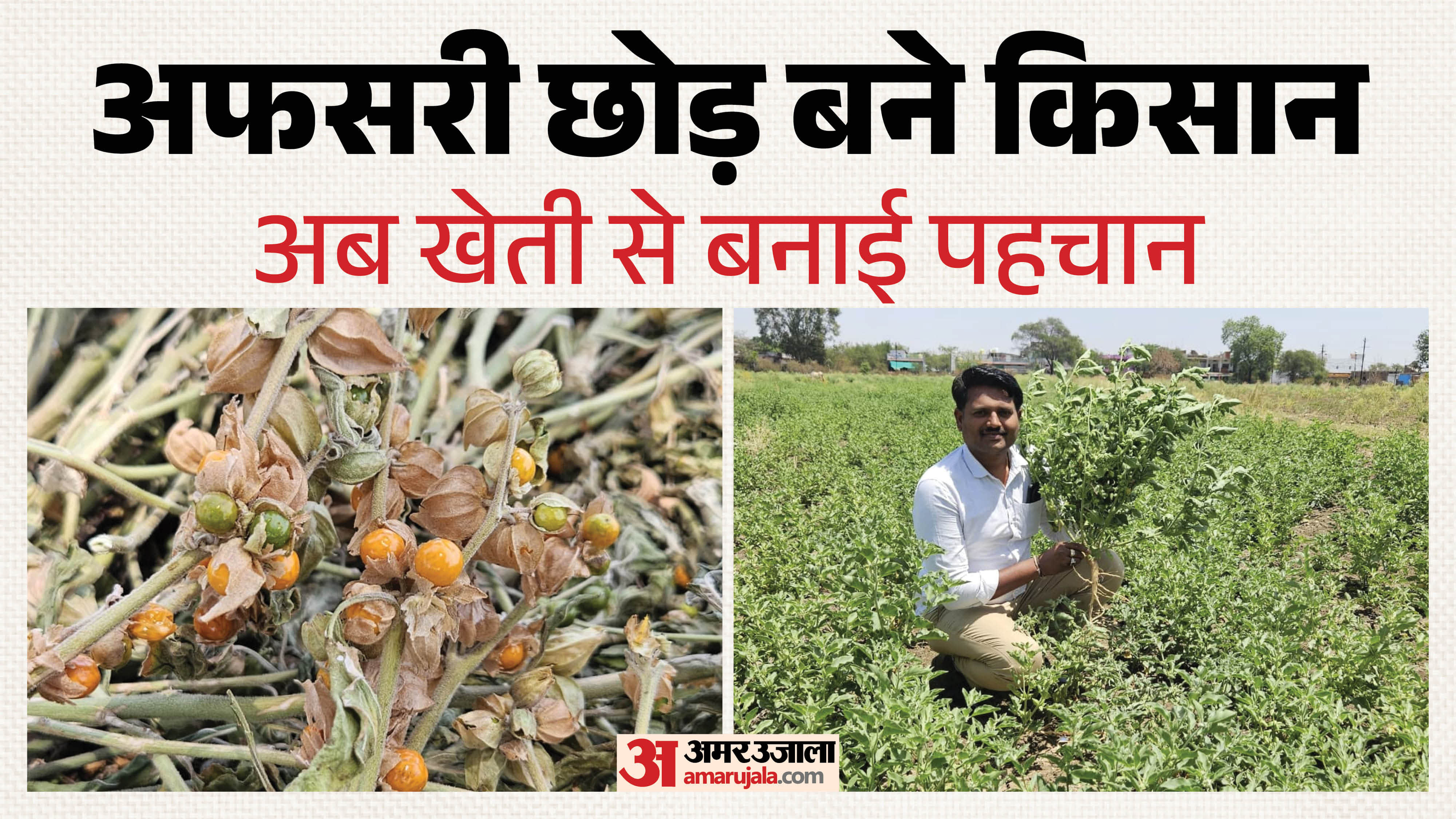 सागर के युवक ने औषधीय खेती अपनाई है।