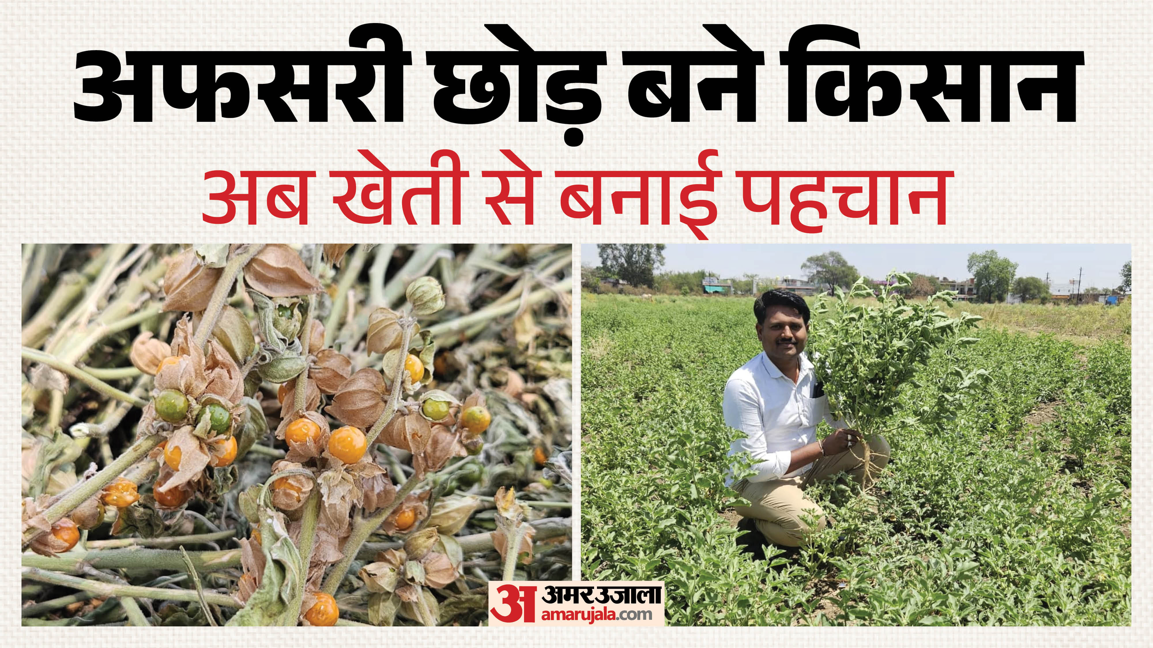 सागर के युवक ने औषधीय खेती अपनाई है।