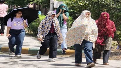 Temperature reaches 42 degrees in Haryana