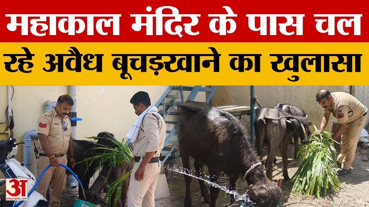 Ujjain: महाकाल मंदिर के पास चल रहा था अवैध बूचड़खाना, पुलिस ने जाल बिछाकर 2 आरोपियो को पकड़ा
