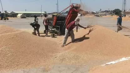 Rail Roko Protest in Punjab on april 17 Farmers Angered by Delays in Wheat Procurement