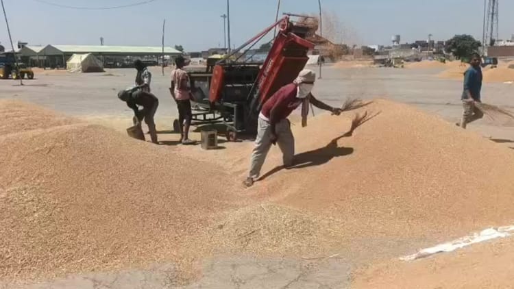 पंजाब में रेल रोको आंदोलन कल: गेहूं खरीद में देरी से नाराज किसानों का एलान, तीन घंटे रोकी जाएंगी ट्रेनें