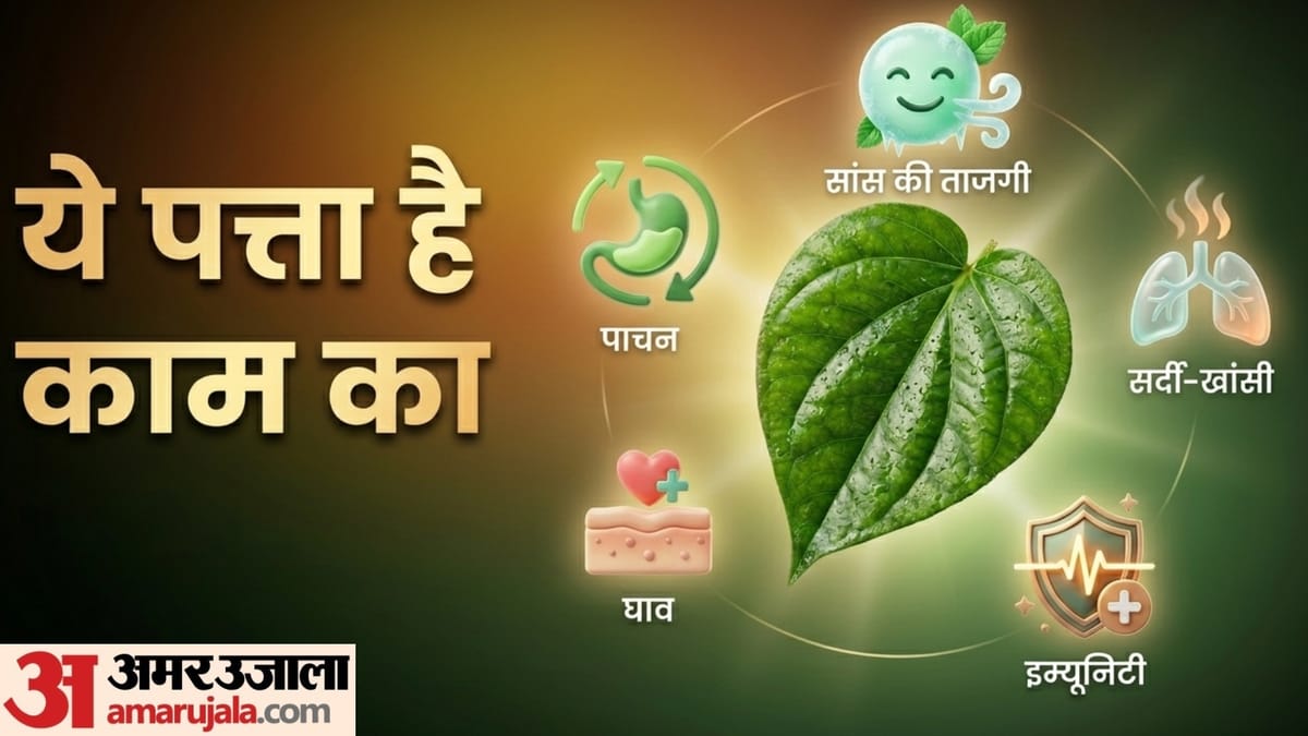 संस्कृत के 230 श्लोकों में दो हजार साल की पान की परंपरा, पान की शान के तो कहने ही क्या!