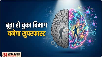 neurologist tips to reduce brain biological age know alzheimer dementia prevention secret