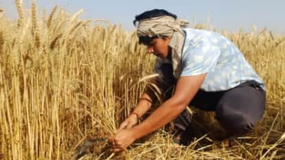 Asian Champion Tanya Chaudhary Helps Family in Fields, Dreams of Winning Medal at Commonwealth Games