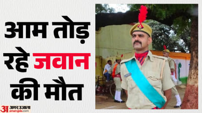 आम तोड़ रहे जवान की मौत:पेड़ पर चढ़े थे तरुण, हाथ में आ गया हाईटेंशन तार; झटका लगते ही नीचे गिरे – A Soldier Plucking Mangoes Died Of Electrocution In Ghaziabad