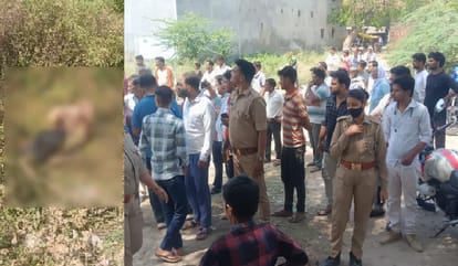 Hardoi Semi Naked Young Woman Found Blood Soaked in Bushes  Signs of Struggle and Severe Injuries
