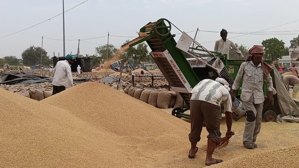 Centre Grants Relaxation in Wheat Procurement Norms Union Minister Pralhad Joshi
