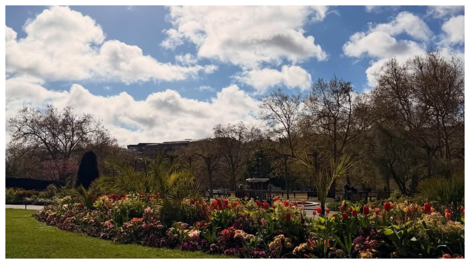 Alia Bhatt sister shaheen bhatt got engaged shared pictures with finance ishaan mehra