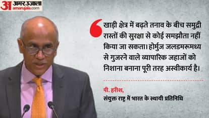 'Targeting of commercial shipping unacceptable' India urges restoration of safe navigation in Strait of Hormuz