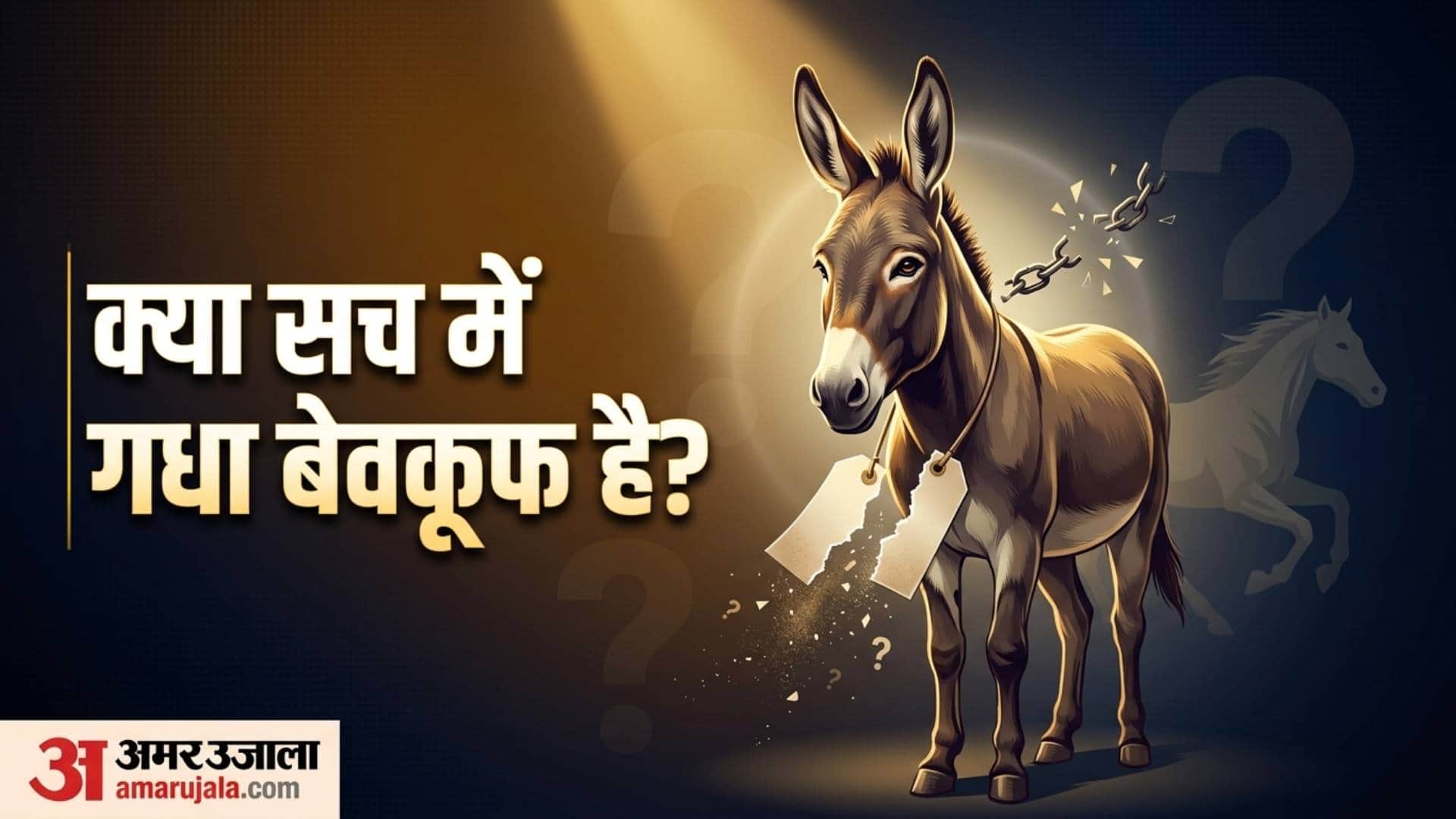 Amazing facts why is calling someone a donkey an insult while it is intelligent and hardworking animal