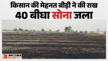 Fire breaks out in 40-bigha field in Mubarakpur village