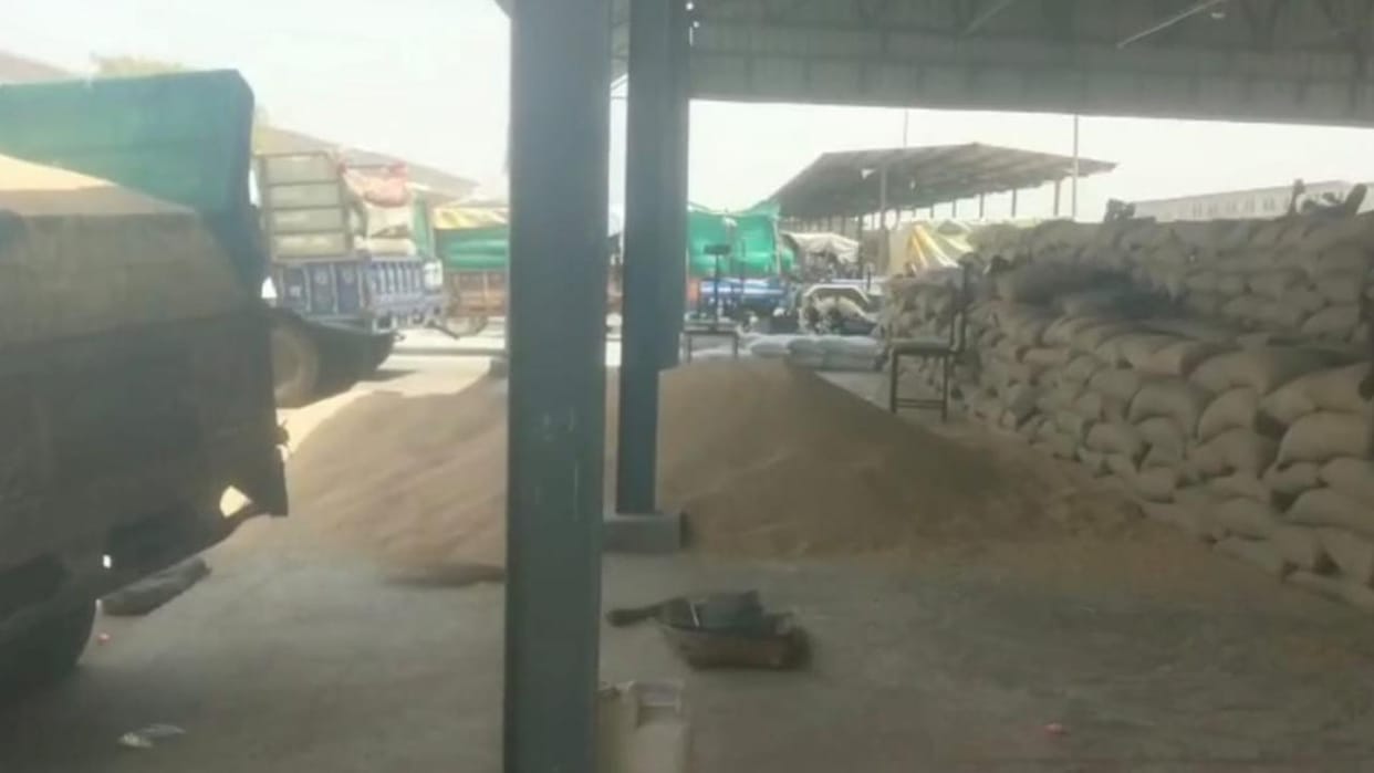 Jhansi: Gunny bags run out at Bhojla Mandi, wheat procurement stalled for four days