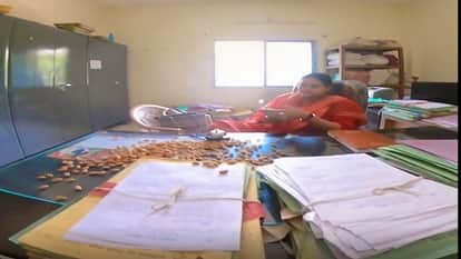 File Missing for a Year Frustrated Youth Protests by Giving Almonds to Housing Board to Improve Memory Find Ou