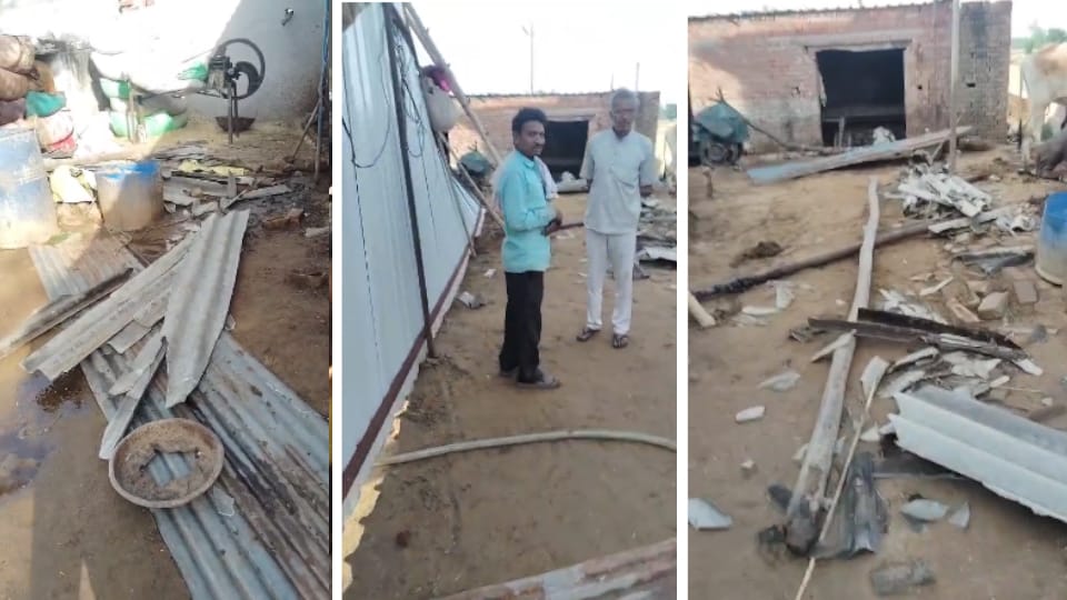 Electric Pole Falls on Tin Shed During Storm Shivani Dies After Being Electrocuted In Hapur of UP