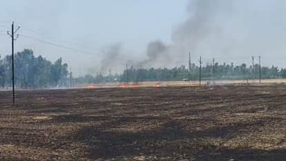 Barabanki: Elderly farmer burns to death while extinguishing stubble fire