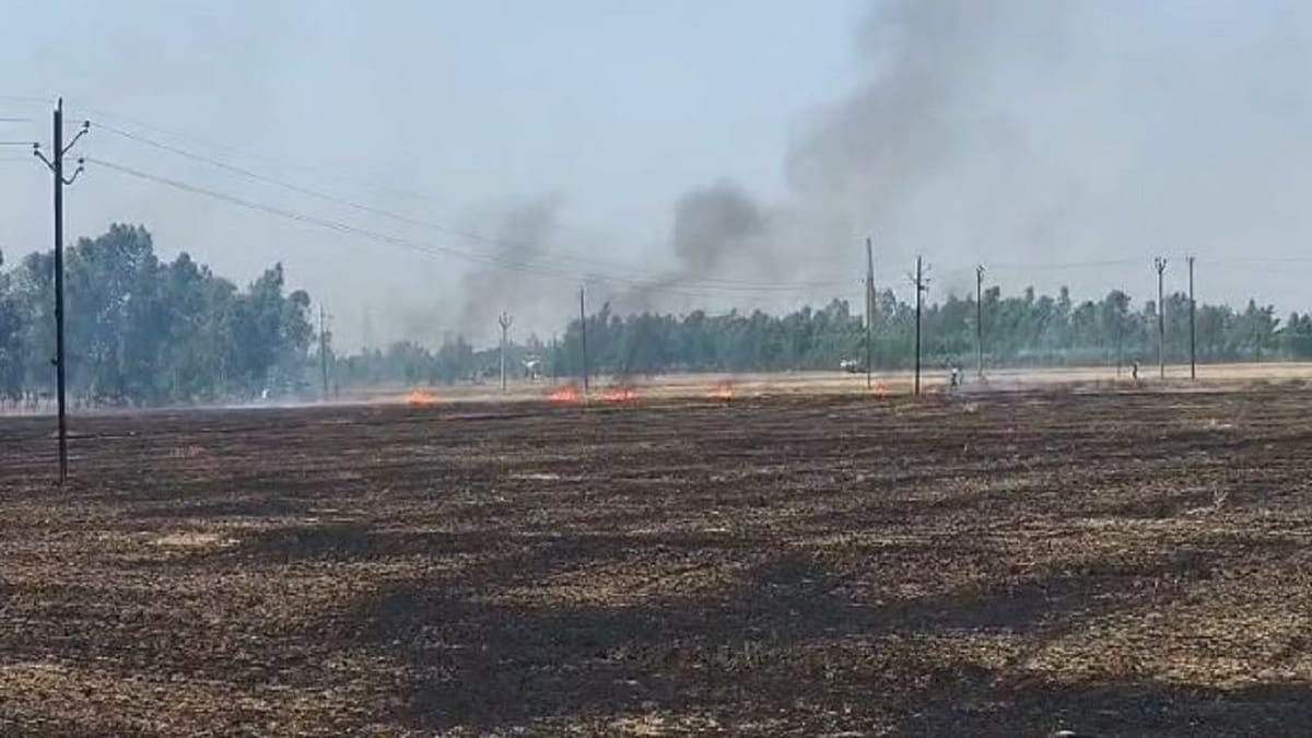 Bareilly News: हाईटेंशन लाइन से निकली चिंगारी से खेतों में लगी भीषण आग, 60 बीघा गेहूं की फसल जलकर राख