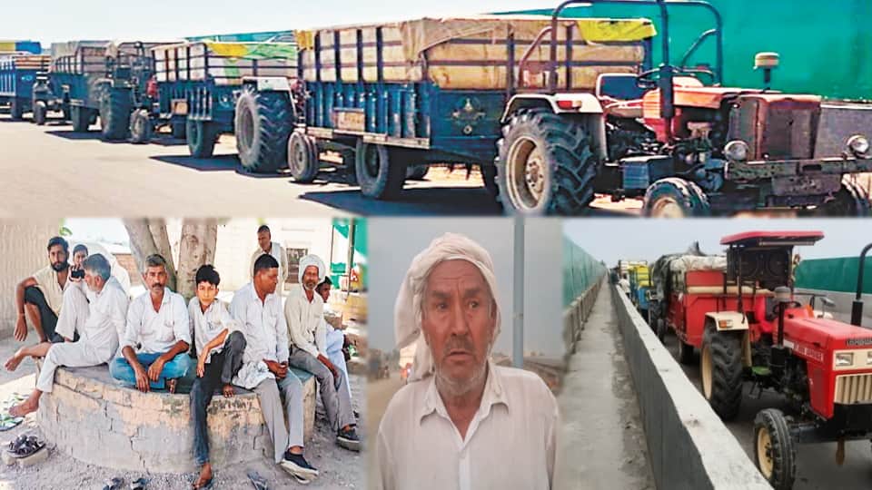 UP Farmers Stopped at Haryana Border With Wheat, Long Tractor Queues Disrupt Meerut-Karnal Highway
