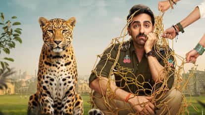 Pati Patni Aur Woh Do Day 11 Box Office Collection: Ayushmann Khurrana Wamiqa Rakul Preet Sara Movie Earning