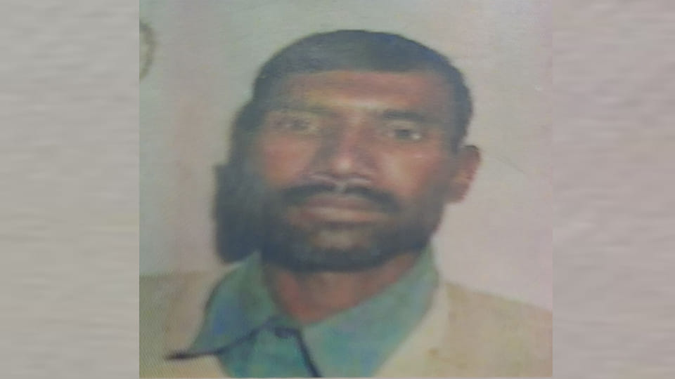 Hardoi: Bull Tramples Gaushala Caretaker to Death