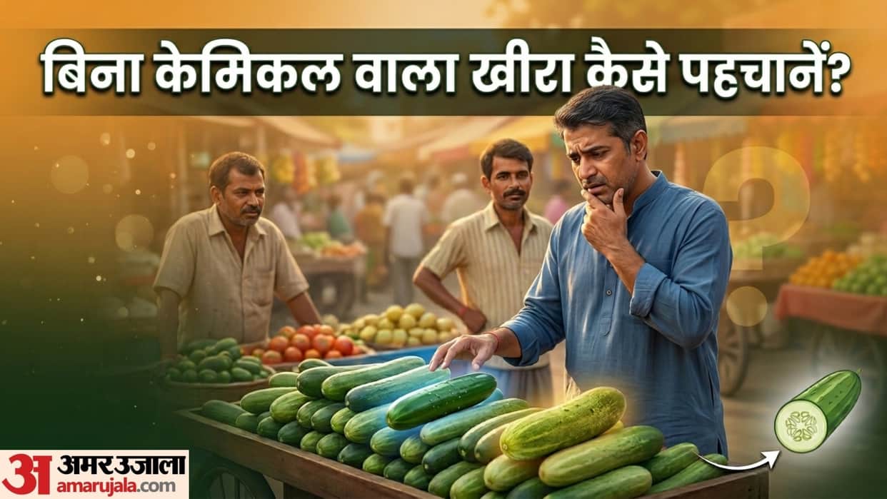 how to identify hybrid and organic cucumber in hindi hybrid and organic kheera me antar
