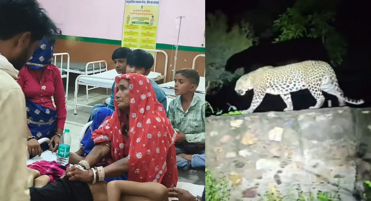 Leopard Attacks Child Playing in Field Claws Injure His Back and Stomach