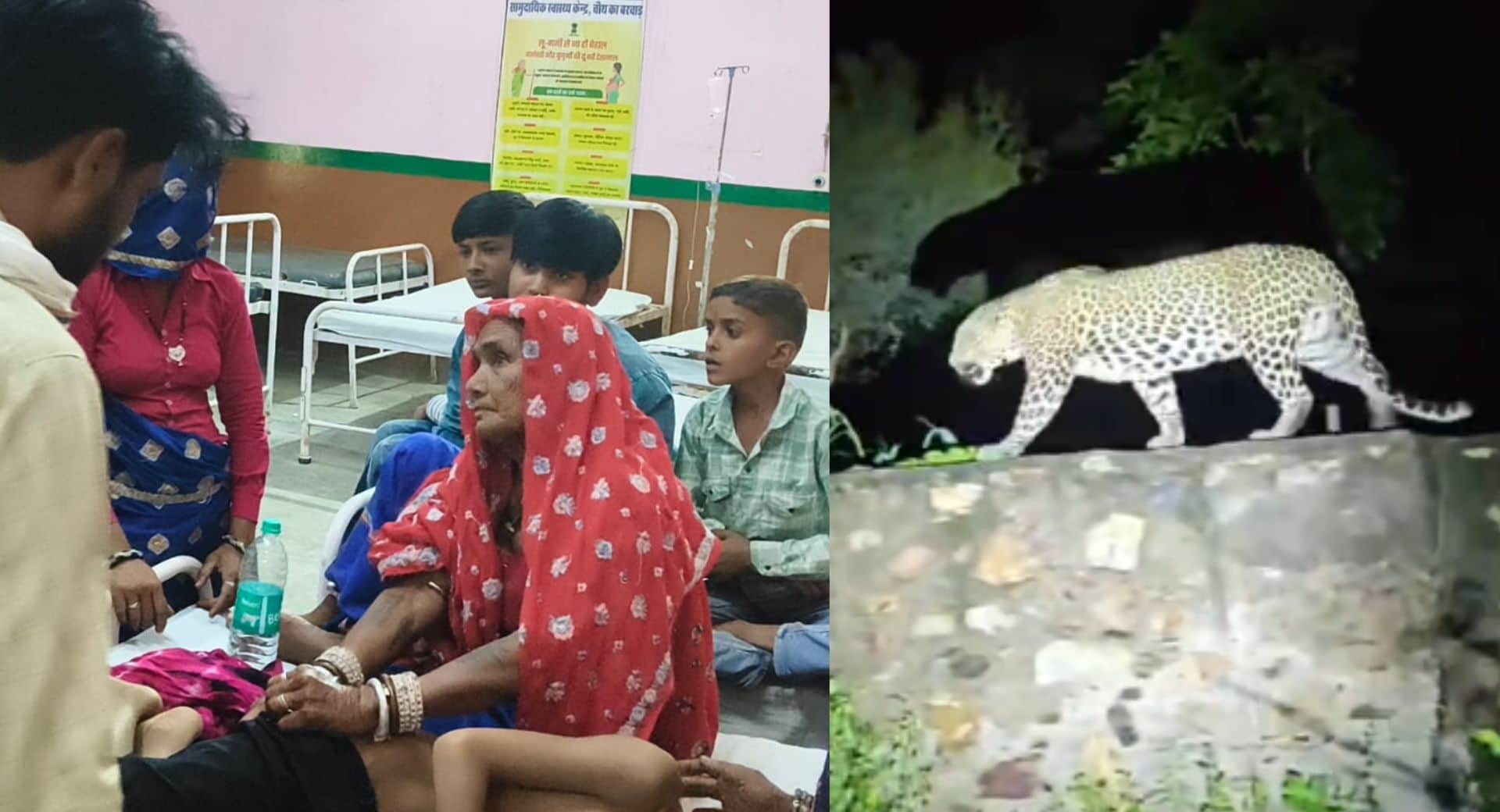 तेंदुए के हमले में बच्चा घायल