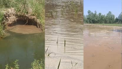 Bijnor: Canal Minor Breach Floods Fields, 30 Bigha Sugarcane Crop Submerged in Bijnor
