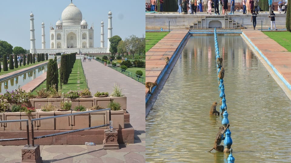 Tourists fall ill due to heat at Taj Mahal