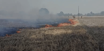 Auraiya Fire Incident: Hundreds of Bighas Crop Residue Burnt in Banjarhar Village