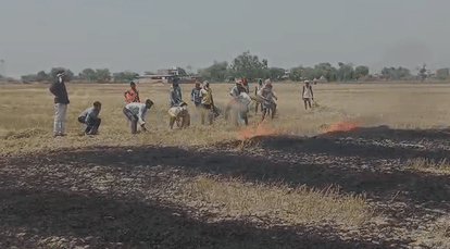 Auraiya Fire Incident: Hundreds of Bighas Crop Residue Burnt in Banjarhar Village