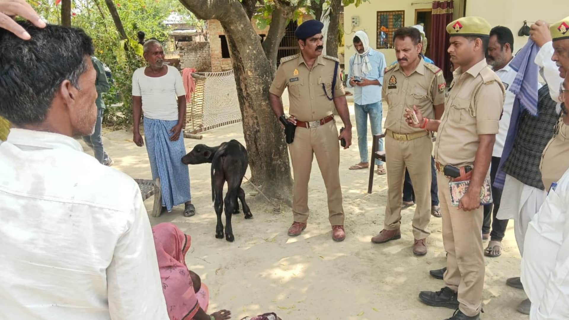 Three siblings drowned in a pond, causing chaos in the family.