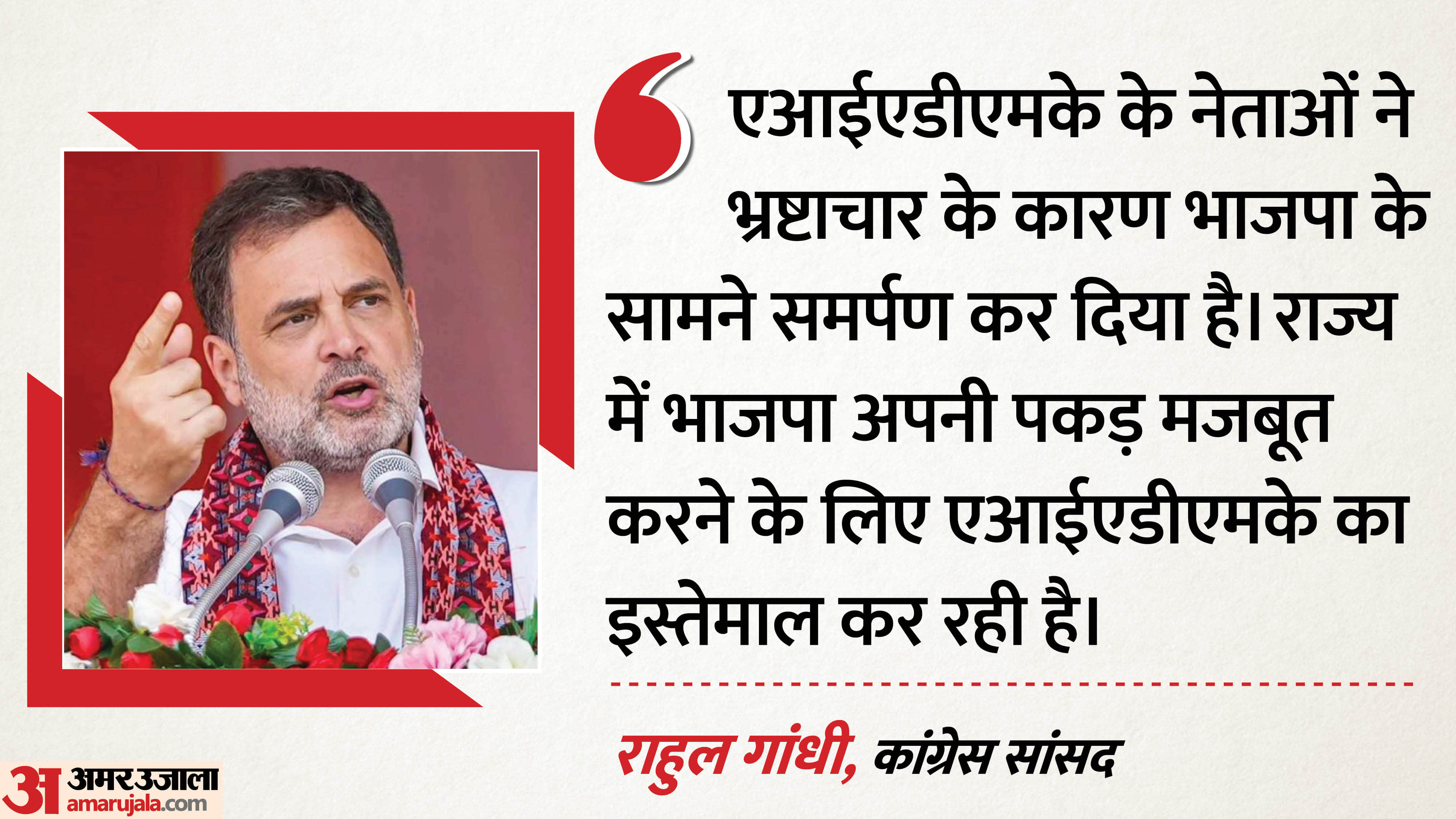 राहुल गांधी, कांग्रेस सांसद