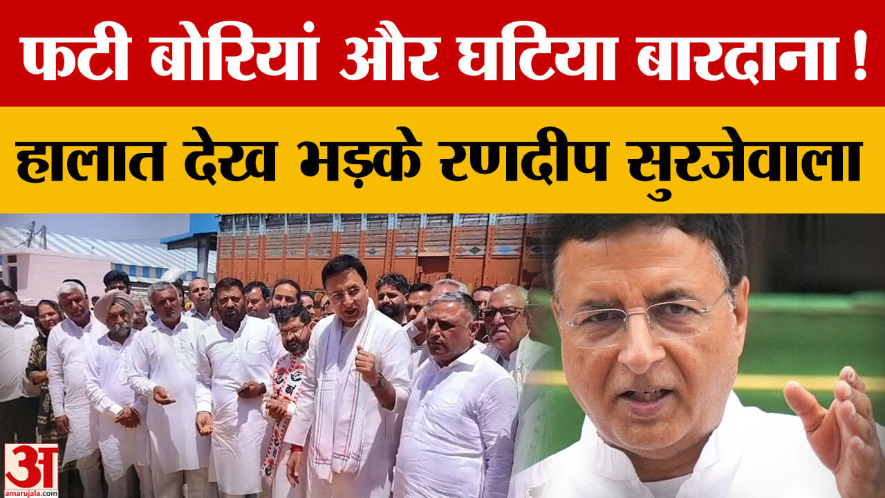 रणदीप सुरजेवाला का मंडी दौरा: गेहूं खरीद और बारदाने को लेकर सरकार पर उठाए सवाल