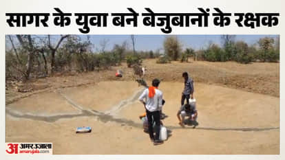 Youths of Sagar Set an Example Journey Begun with an Injured Bird They Have Become Angels for the Voiceless