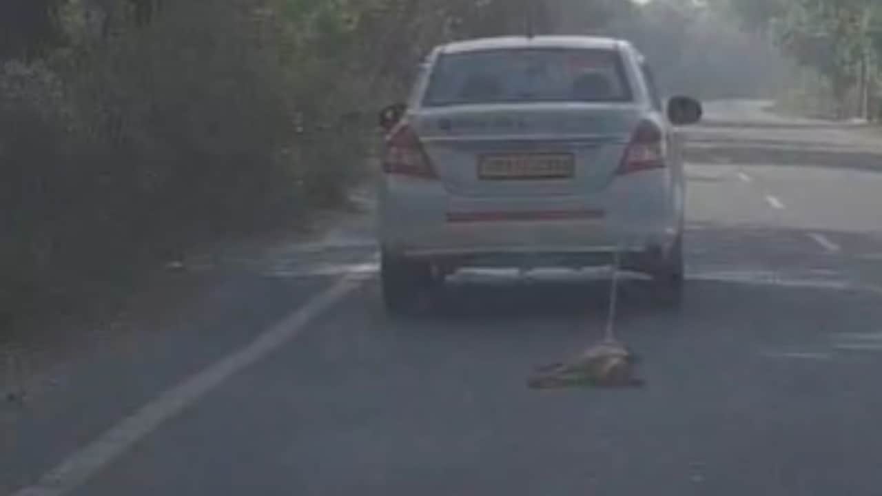 कार से बांधकर कुत्ते को घसीटा