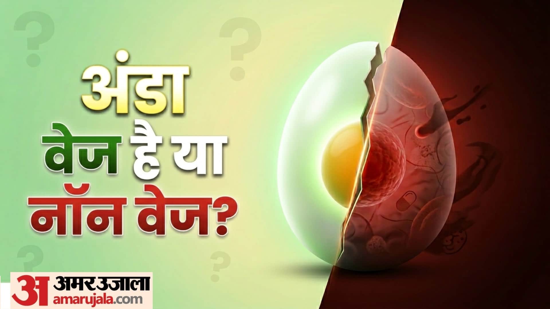 Egg Veg Or Non veg  why egg called nonveg or veg The answer might surprise you