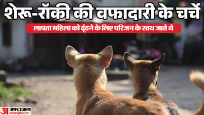 Dogs find body of a woman who used to feed her bread every day