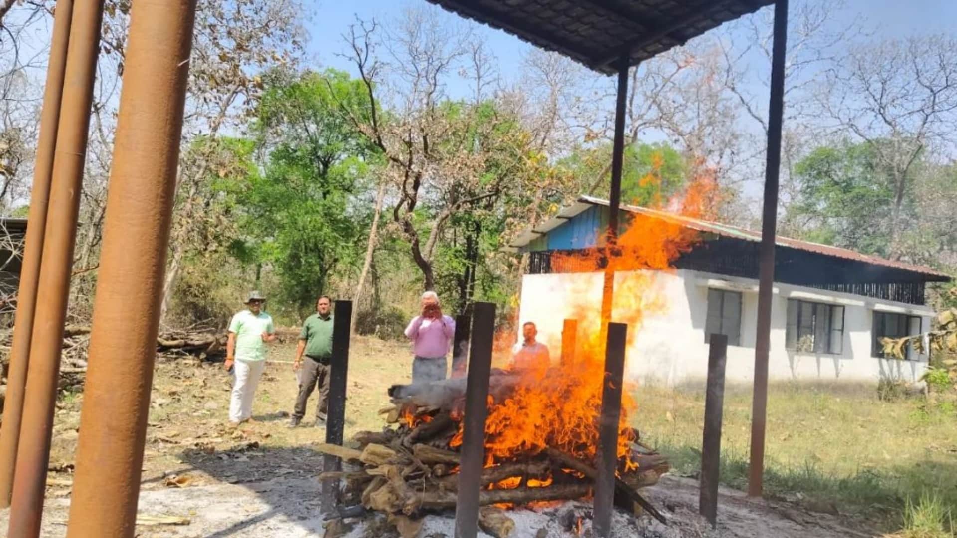 गंभीर रूप से घायल शावक की मौत