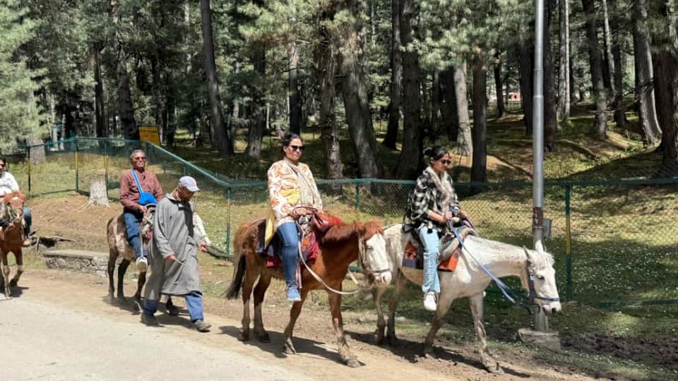 Pahalgham Terror Attack Anniversary Silence Speaks as Eyewitnesses Relive Trauma