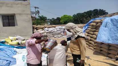 Wheat procurement started at Purdilnagar purchasing center