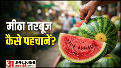 How To Identify Sweet Watermelon Buying Tips In Hindi Meetha Tarbuj Kaise Pehchane