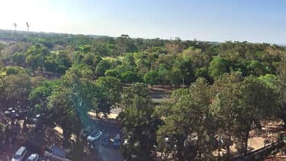 Chandigarh Green Cover Grows 35% in 10 Years Tree Plantation Drives Bear Fruit