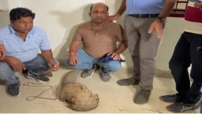 Crackdown ahead of Rs 50 crore deal Two smugglers nabbed in Raipur with live pangolins brought from Pakhanjoor