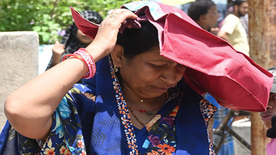 Weather Update: Mercury Hits 44.6 Degrees in Kanpur; Meteorological Department Issues Alert