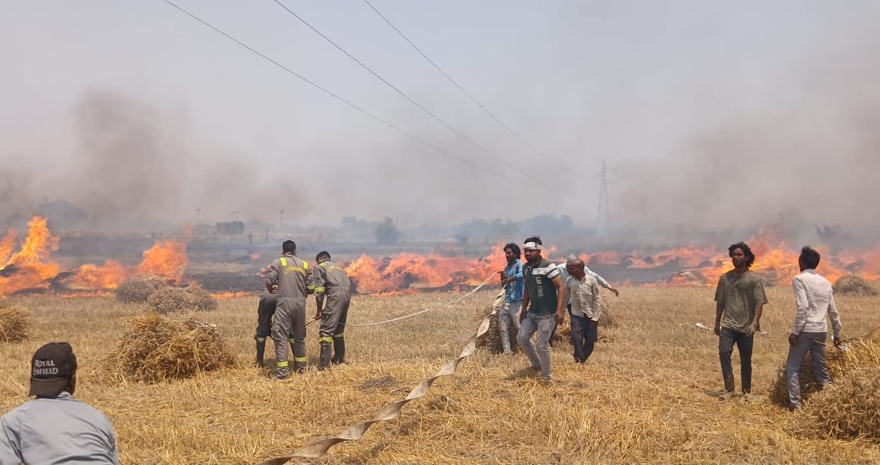 Kanpur Dehat Fire Massive Blaze Reduces 300 Bighas of Wheat Crop to Ashes Firefighters Bring It Under Control