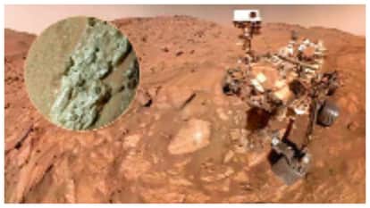 NASA rover images shows insects on mars debate starts on life on red planet