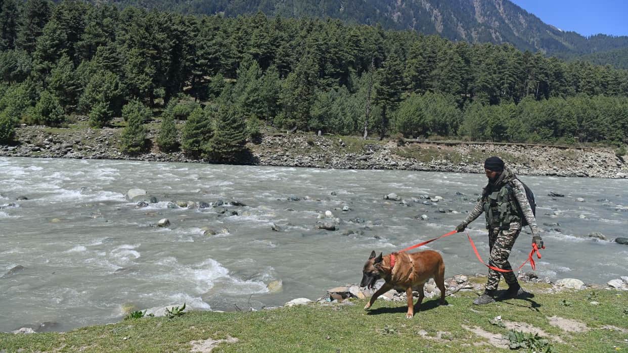 Parl panel recommends 'integrated security and surveillance framework' for tourist spots in J-K