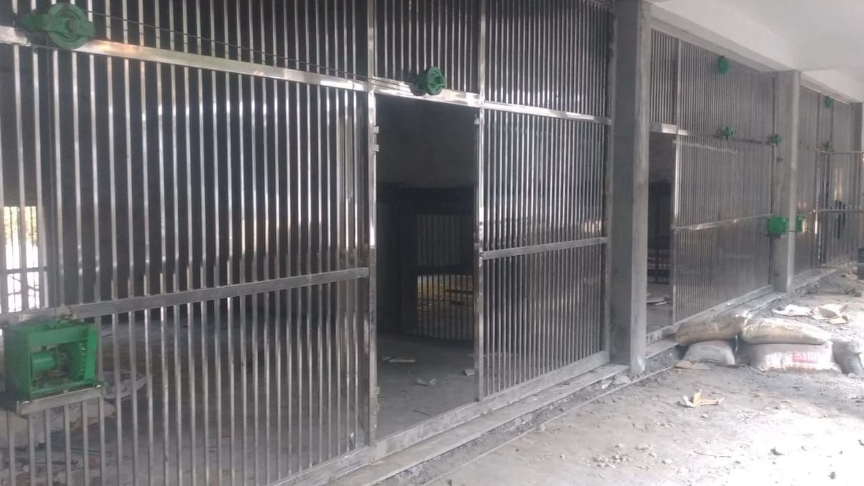 Himachal A Pair of Tigers to Arrive at Renuka from Maharashtra in June CZA Approval Granted